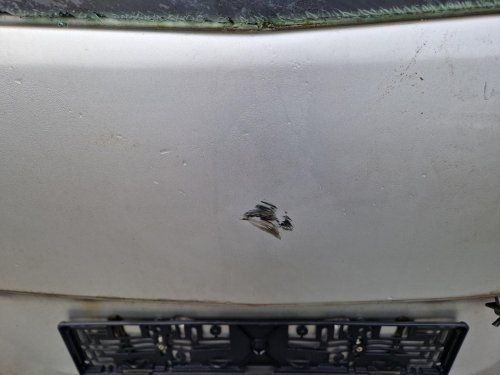 ZADNÍ KUFROVÉ DVEŘE OPEL ZAFIRA B, STŘÍBRNÉ Z157 - 16586